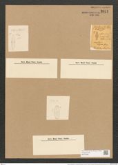 Amphora coffeaeformis var. exigua (Greg.) Rabenh. (de-Toni-Nr.: Genus 36, Species 1559) Zeichnungen Sammlung Grunow Nr. 3011 (NHMW-BOT-W0370388)